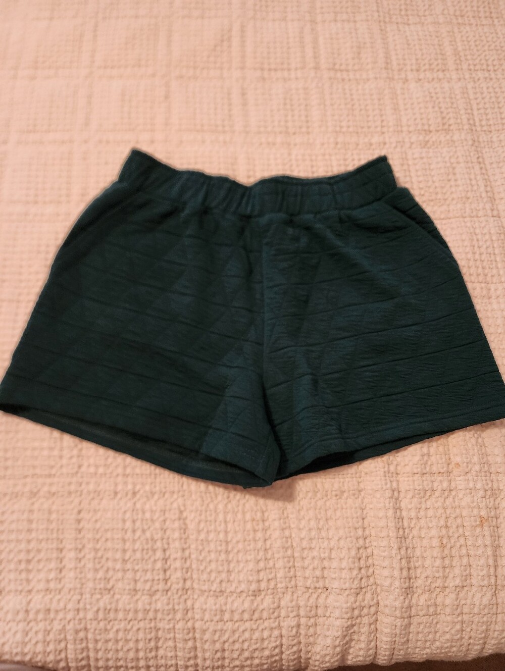 See & Be Seen Pine Green Women's Casual Elastic-Waist Shorts Large NWT Stretch